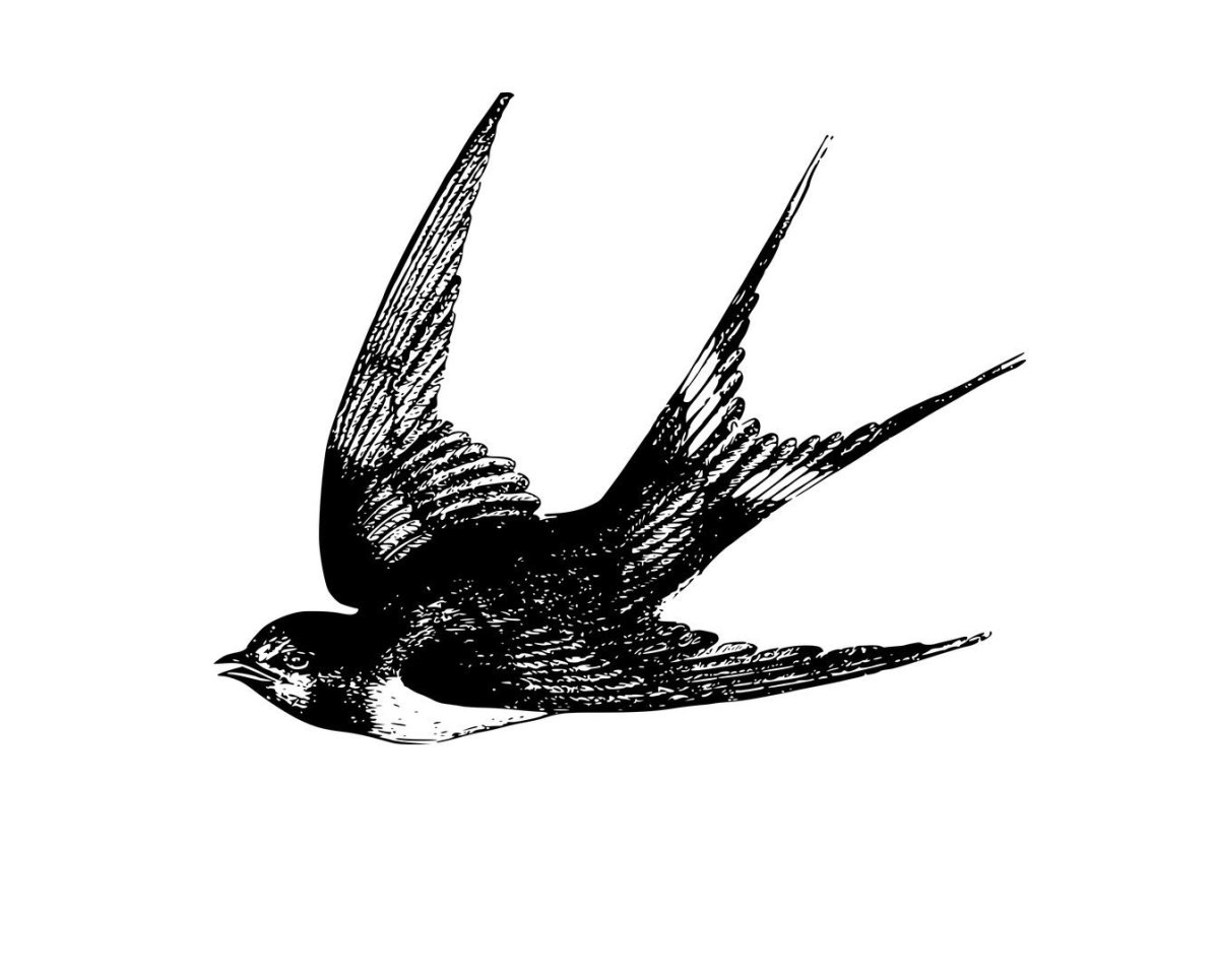 Стриж мультяшный