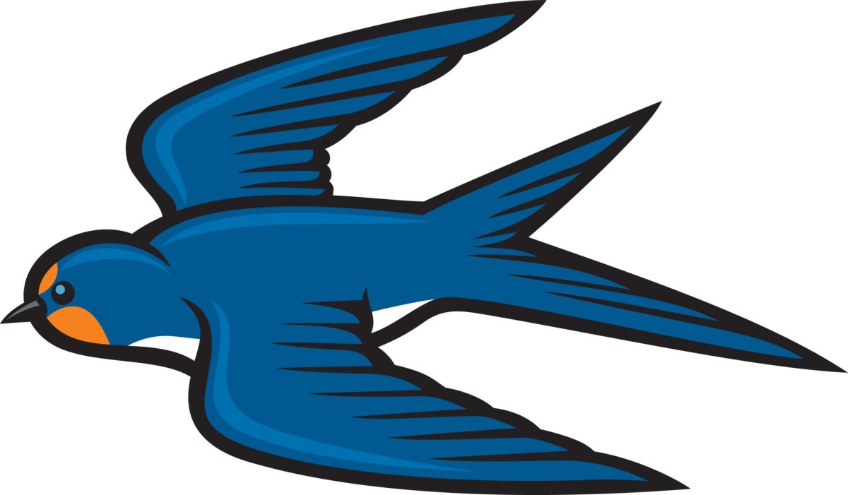 Ласточка для детей