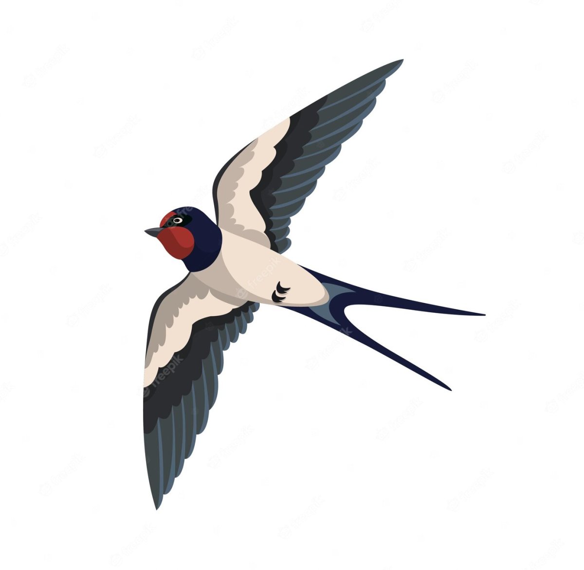 Ласточка картинка на прозрачном фоне