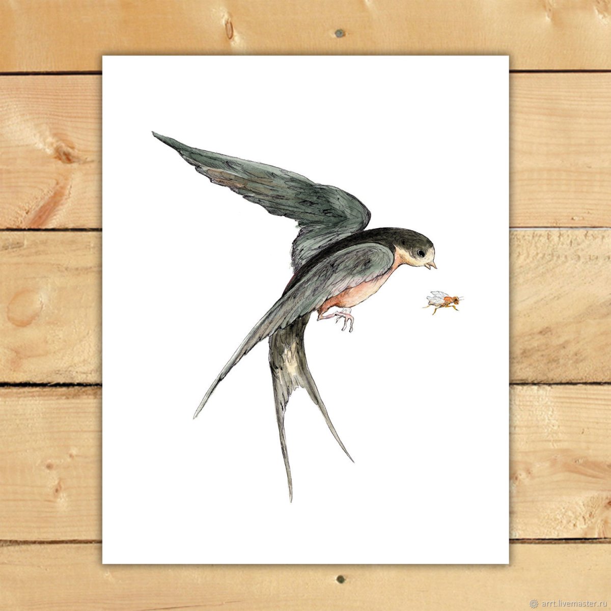 Ласточка картинка для детей