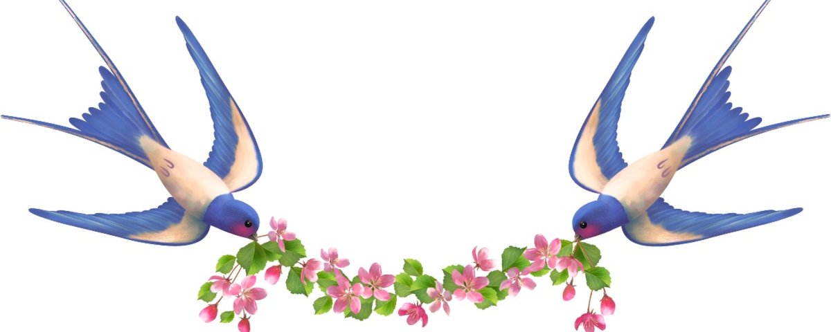 Птицы мультяшные Ласточка