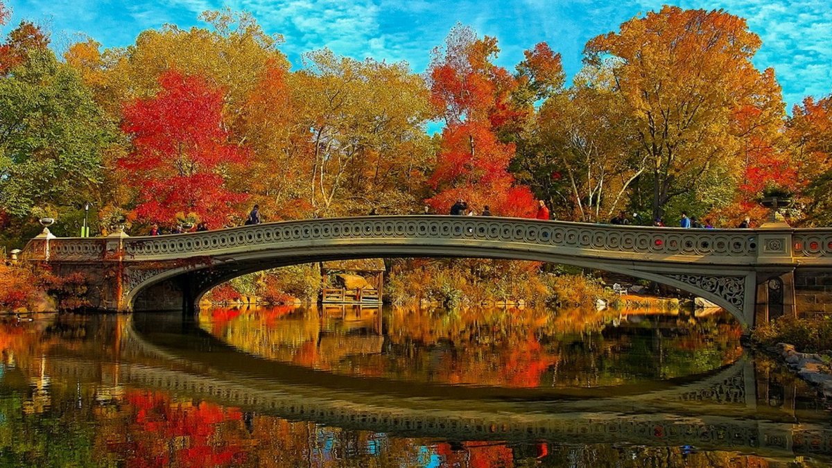 Красивая осень