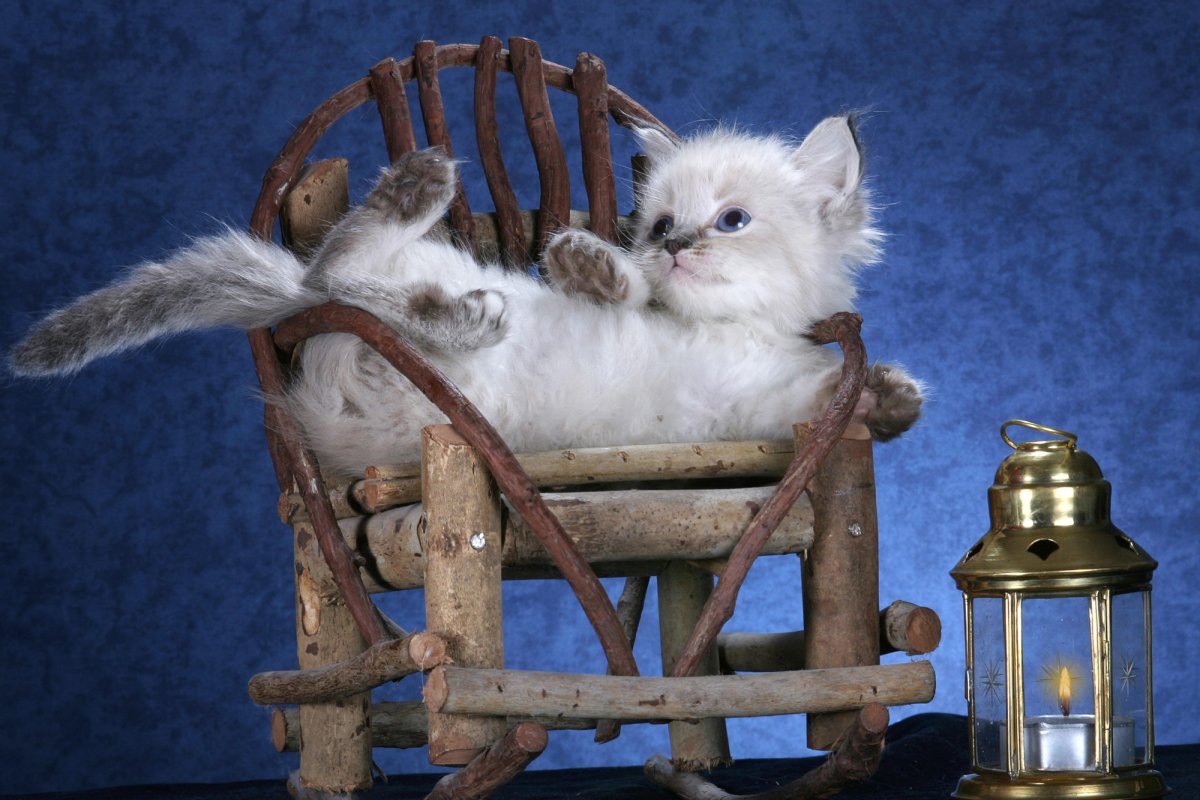 Шутки про свечу