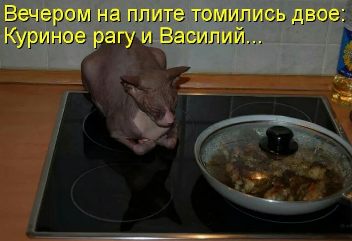 Доброго вечерочка прикольные