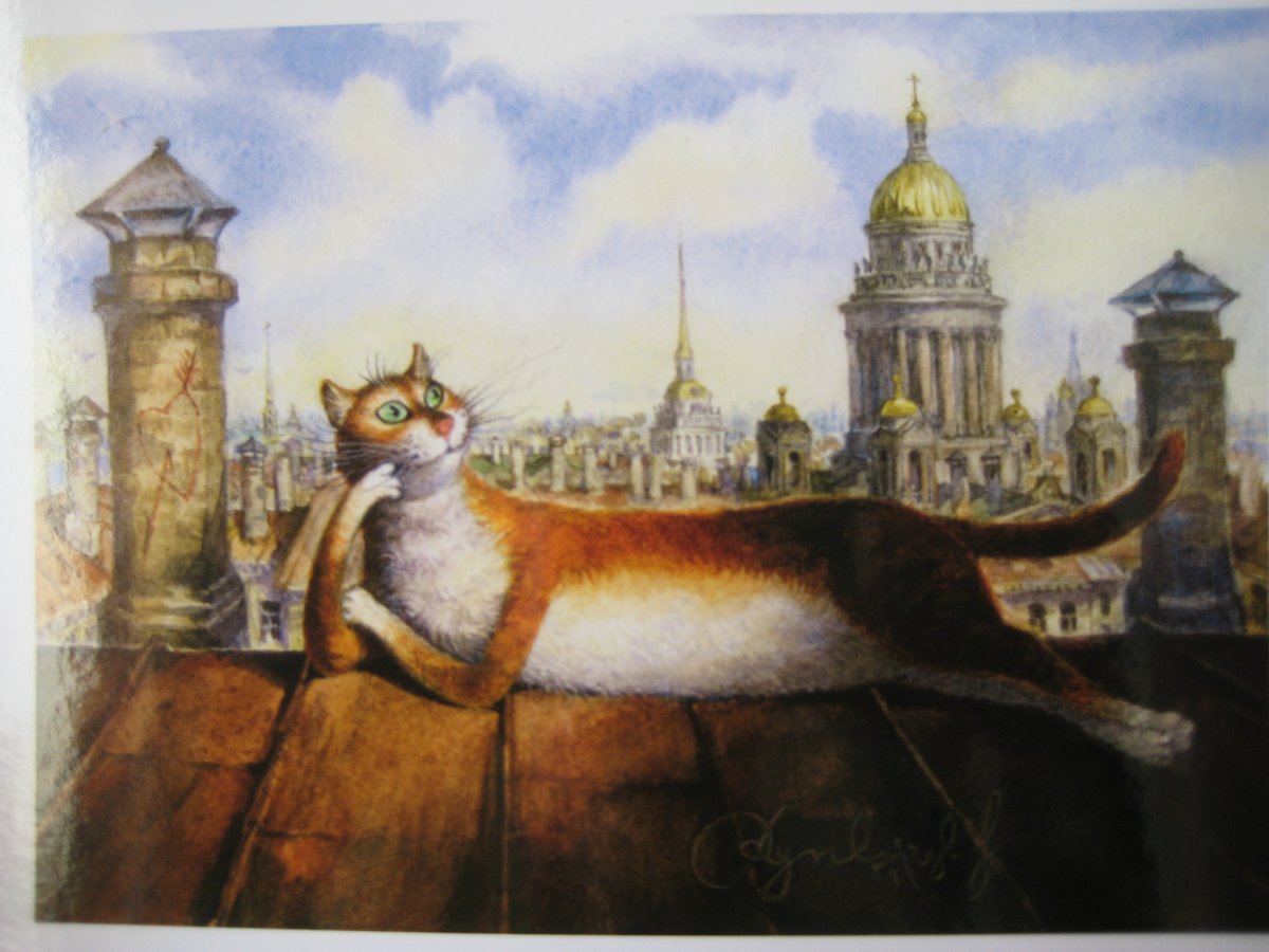 Коты Санкт-Петербурга Владимир Румянцев