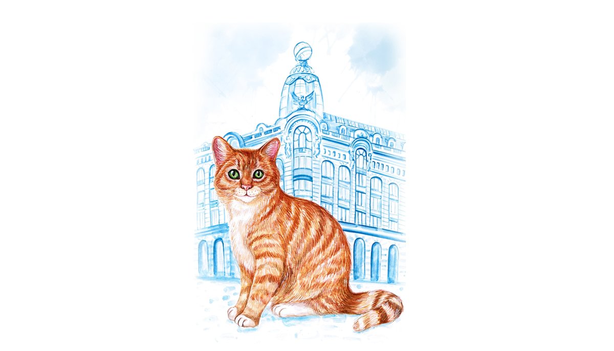 Коты Елены Романовой Питер