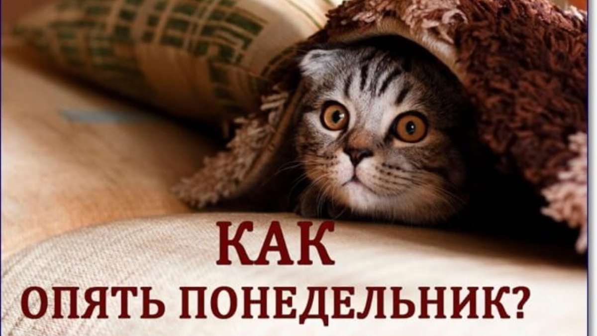 Опять понедельник