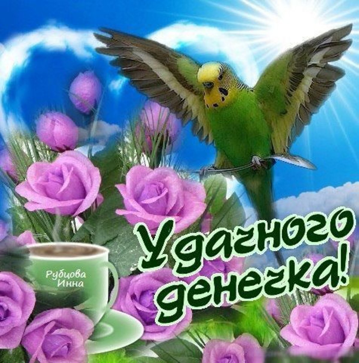 Утро птицы солнце