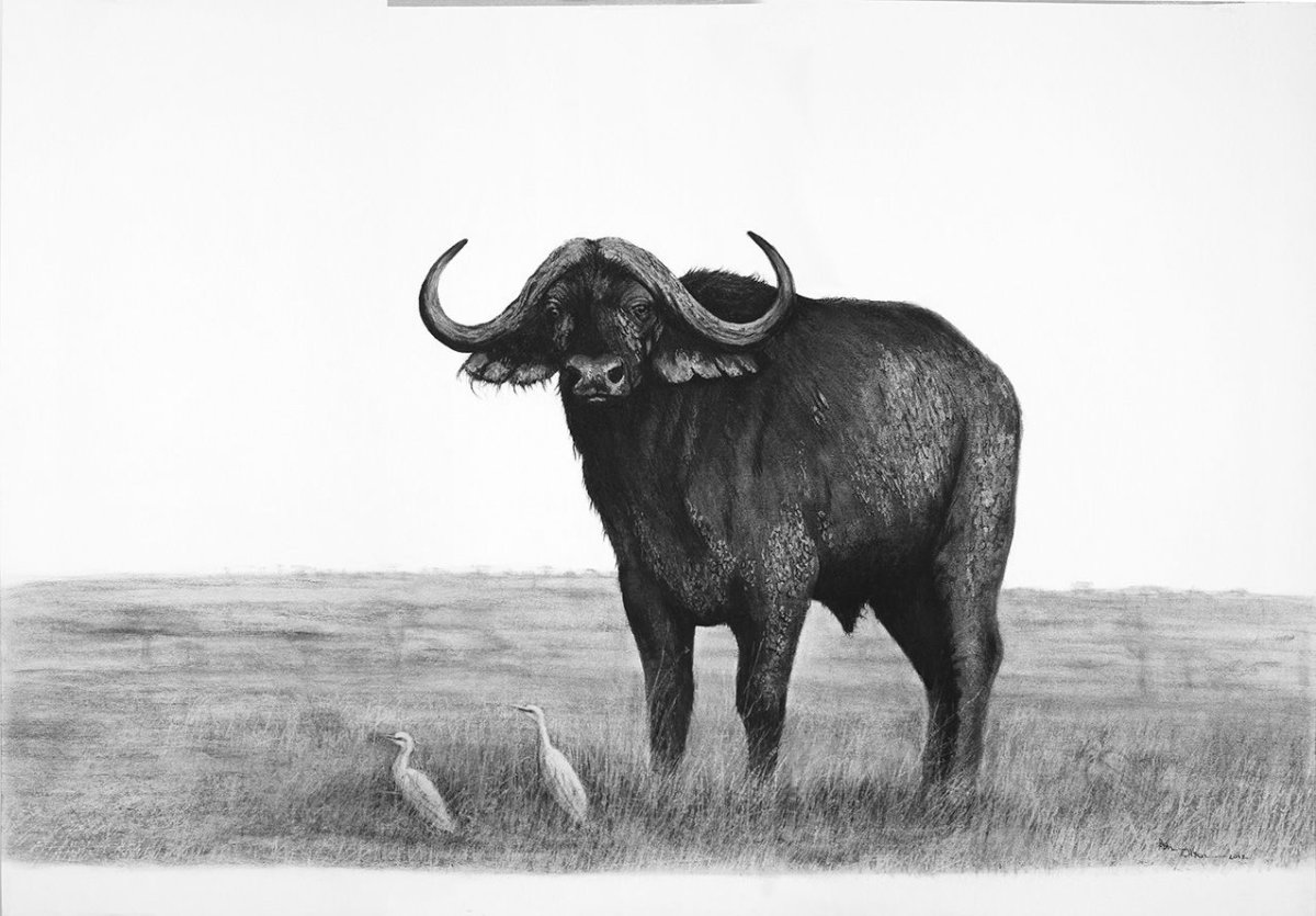 Стилизованное изображение буйвола