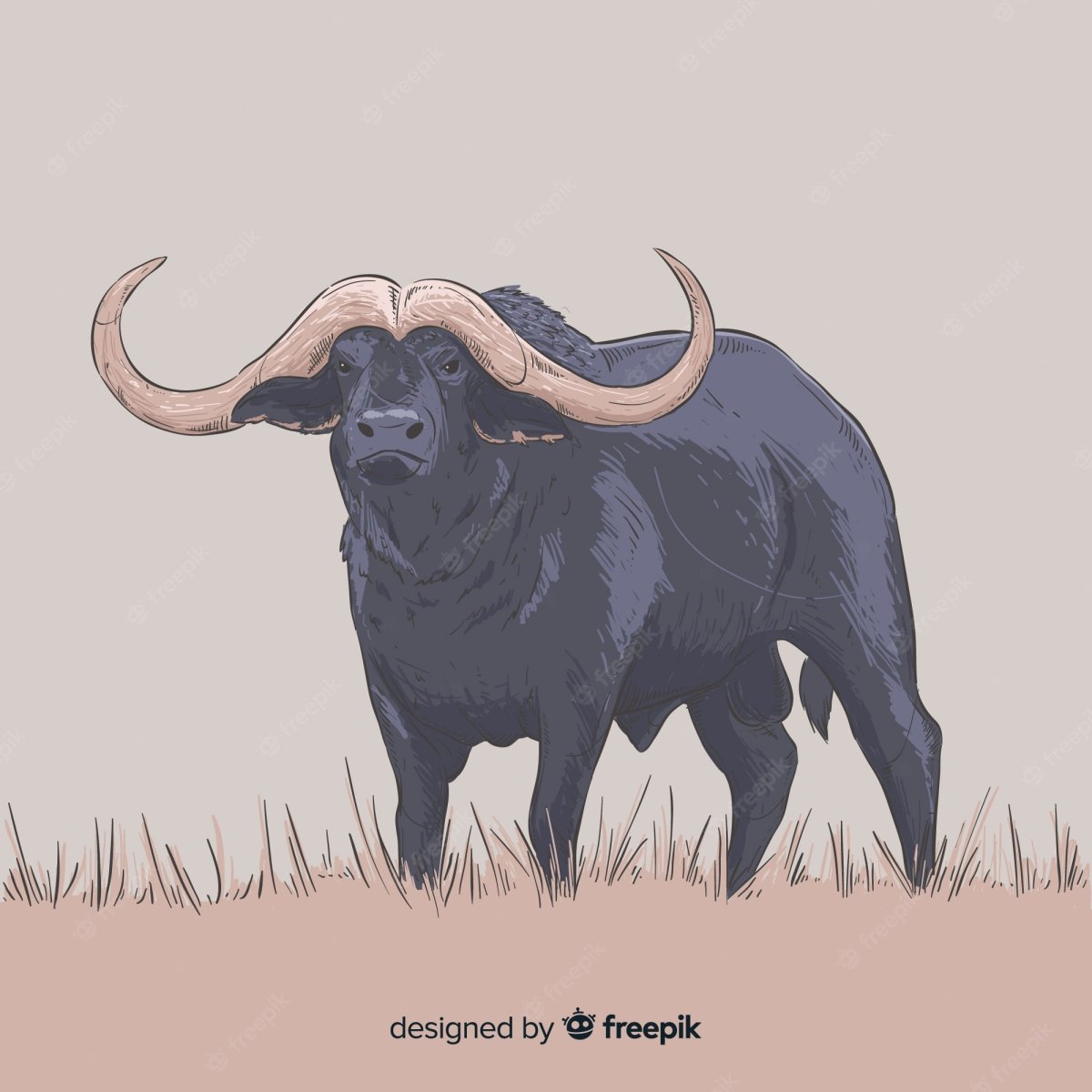 Африканский буйвол рисунок