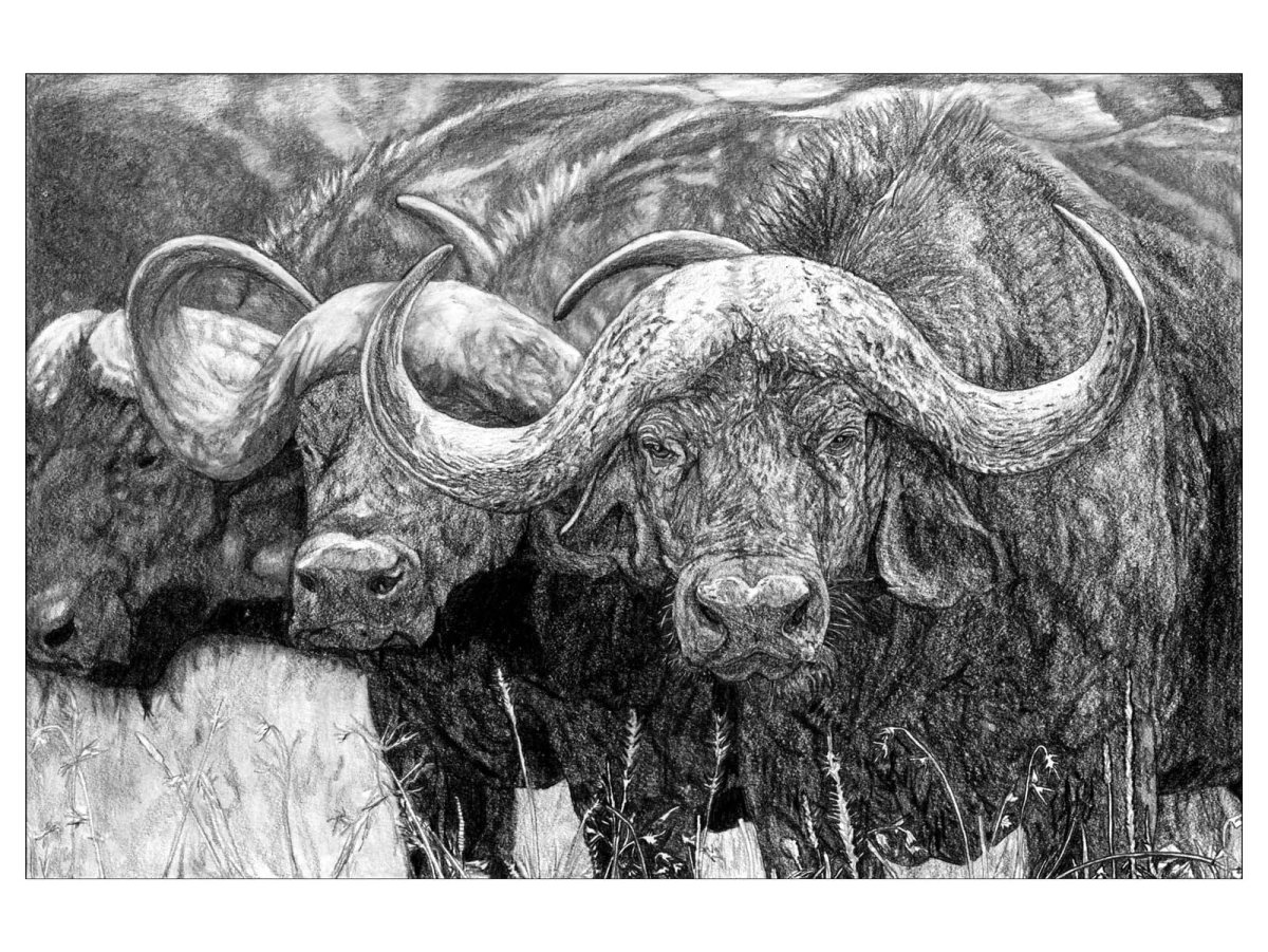 Гаур бык игрушка