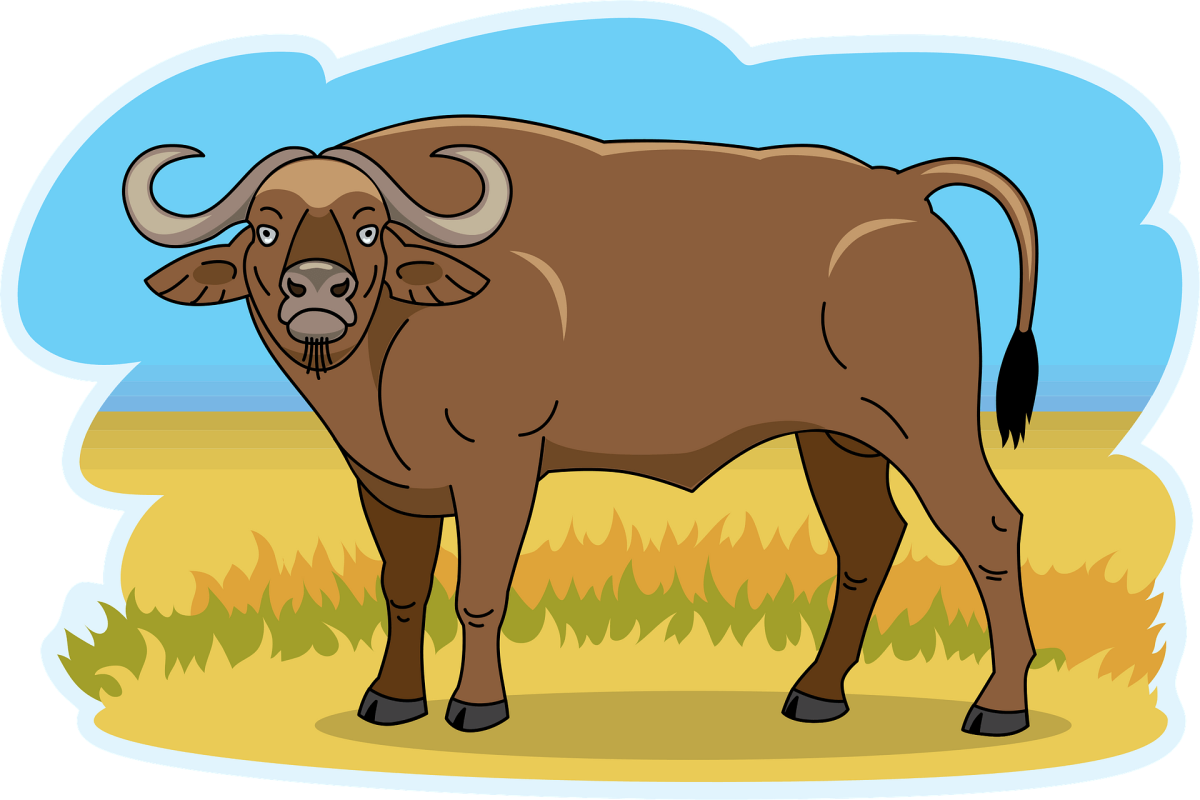 Буйвол рисунок