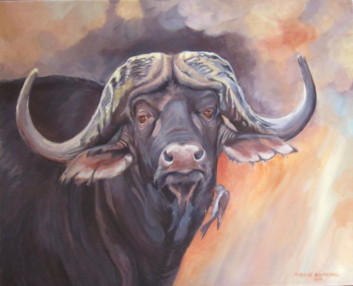 Буйвол карандашом