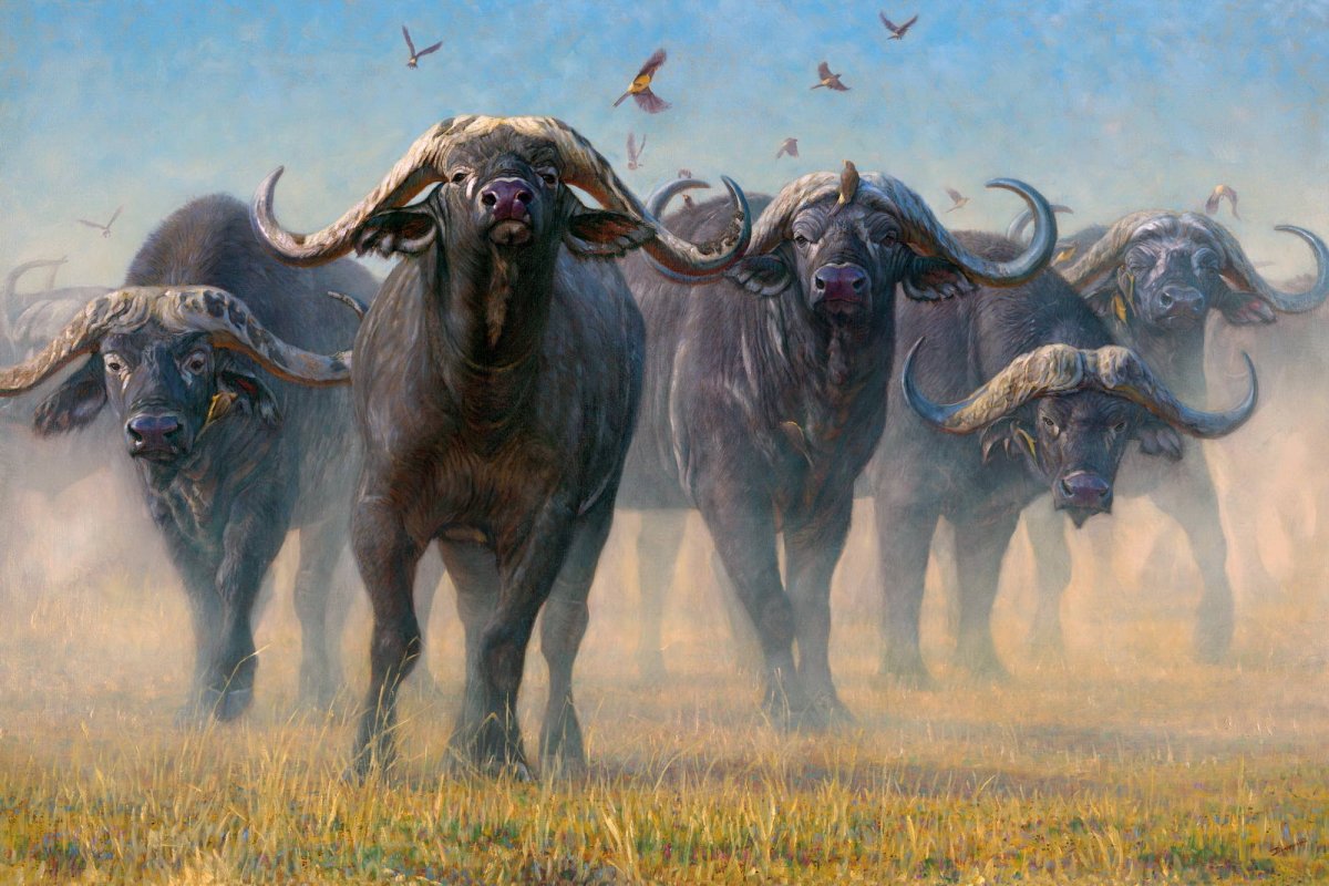 Милые Буйволы