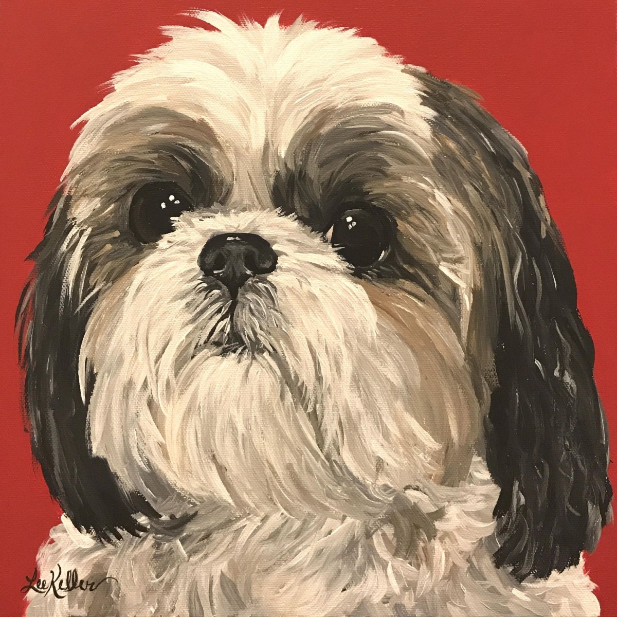 Ши тцу стандарт породы