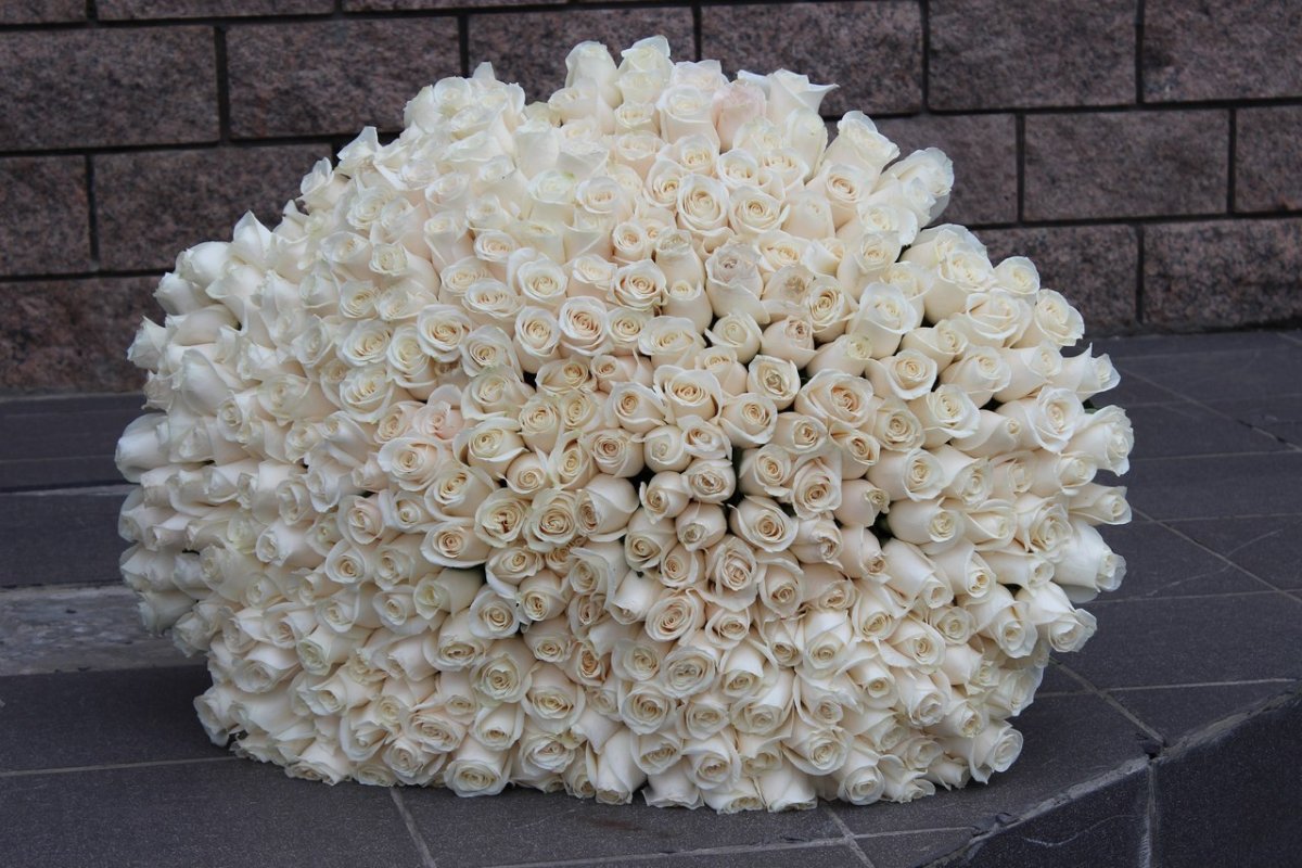 Большие букеты белых роз