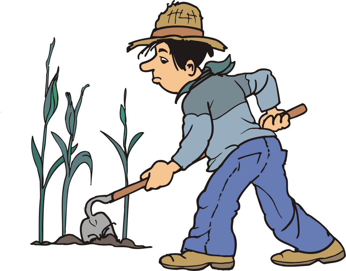 Полольник Росток 155х240мм 421584