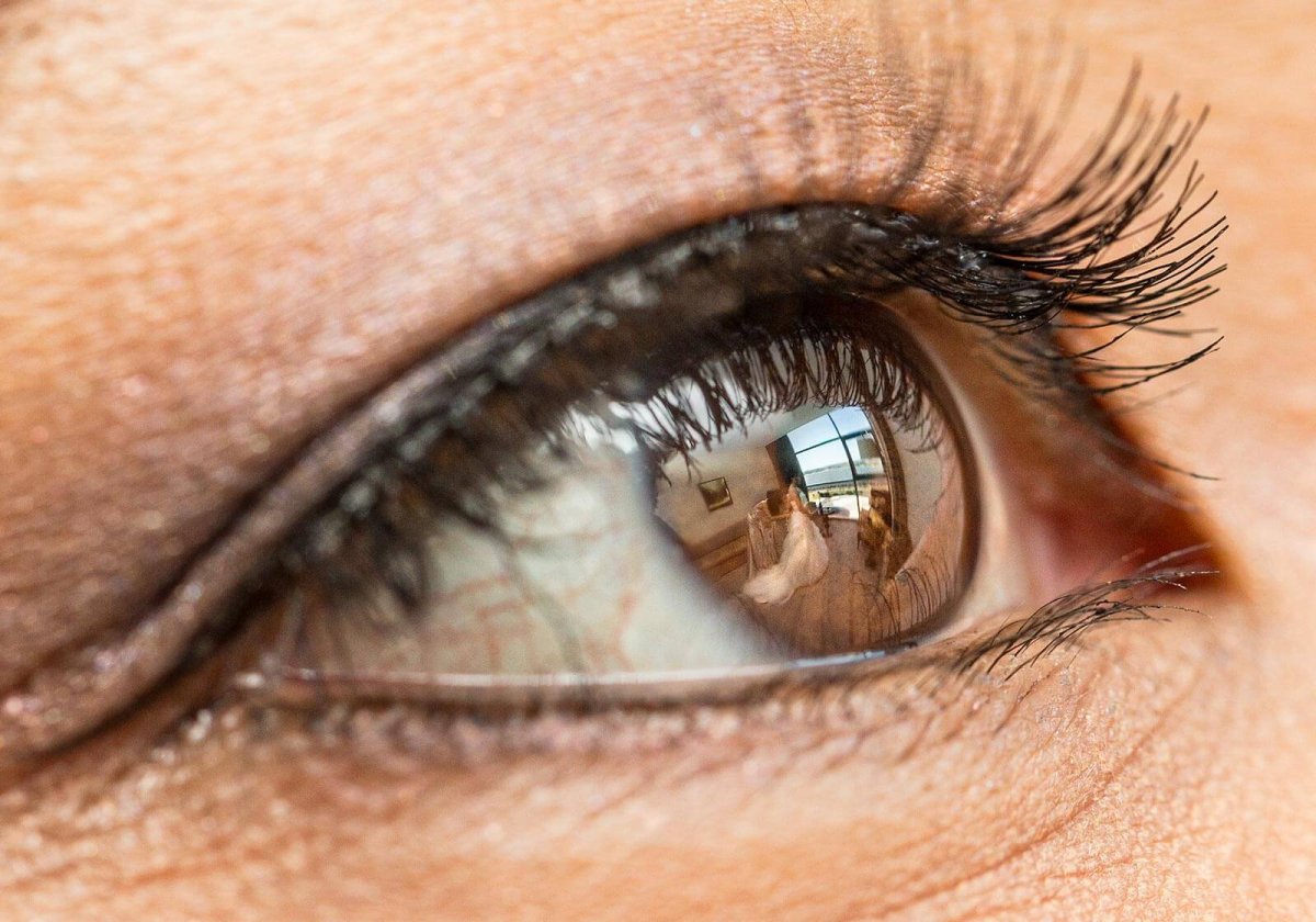 Питер Адамс фотограф