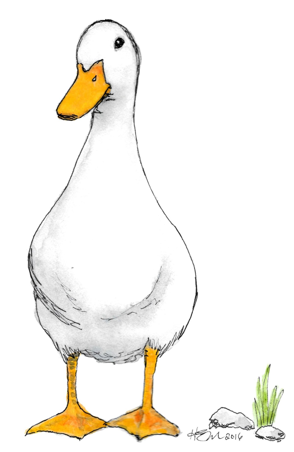 Гусь картинка для детей