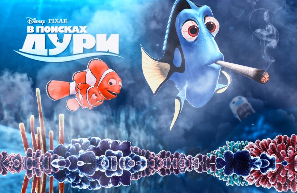 Рыбка дори сбоку