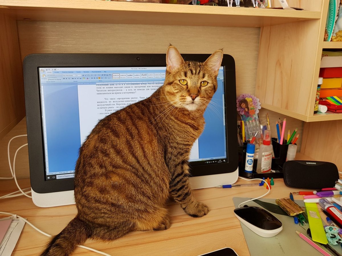 Домовой картины Александр Маскаев