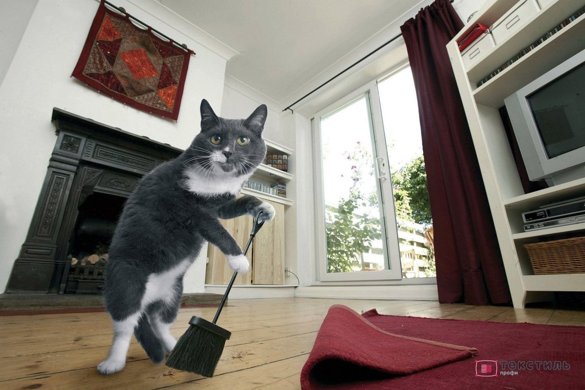 Домик для кота