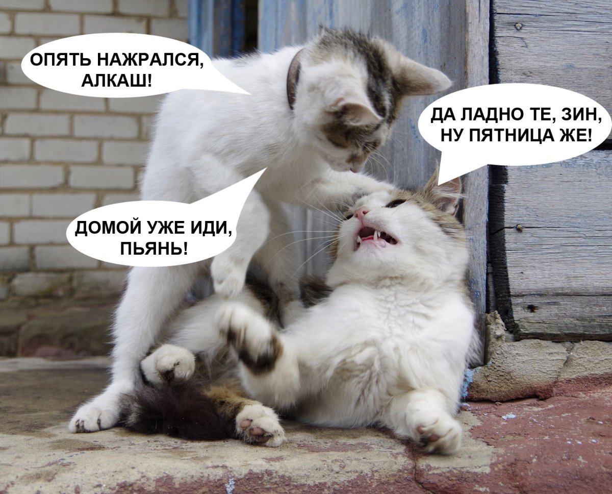 Счастливого пути самолет