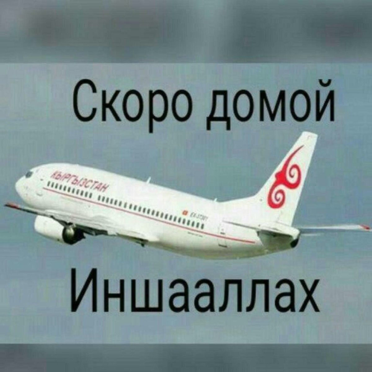 Лучшая дорога домой