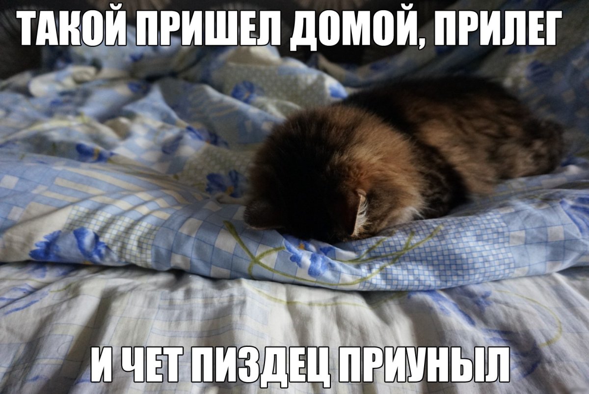 Дембель едет домой