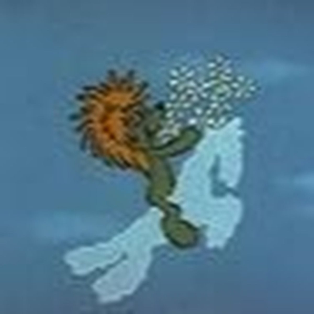 Трям Здравствуйте раскраска для детей