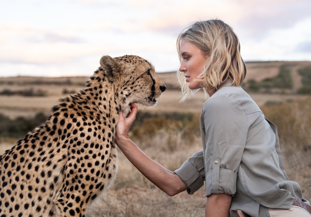 Гепард референс