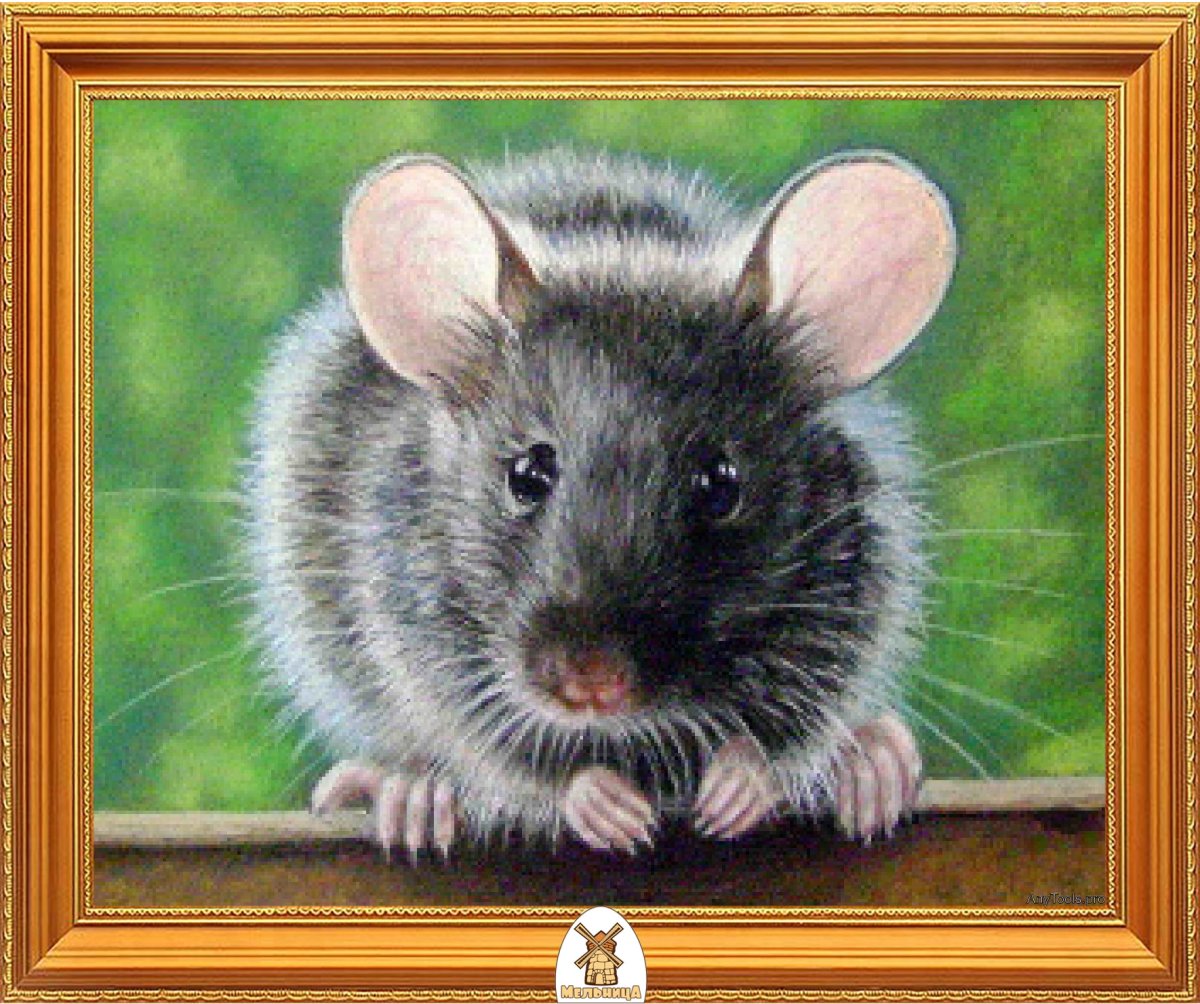 Мышь персонаж