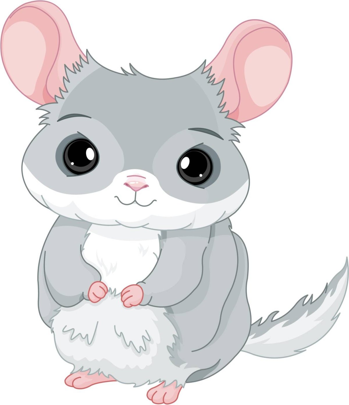 Шиншилла акварелью