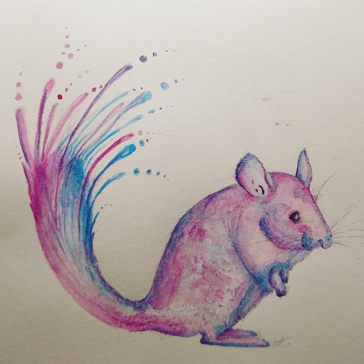 Наброски и рисунки животных карандашом шиншиллы
