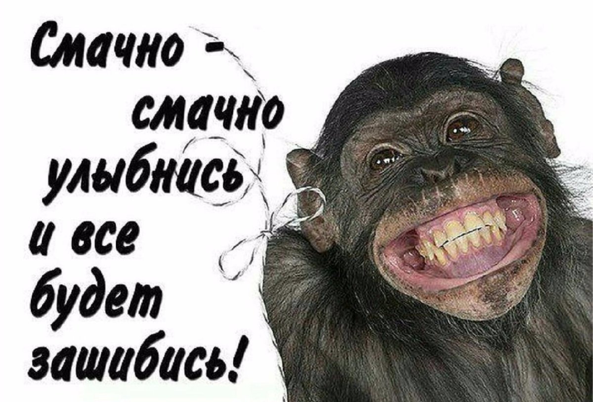 Улыбнись прикольные