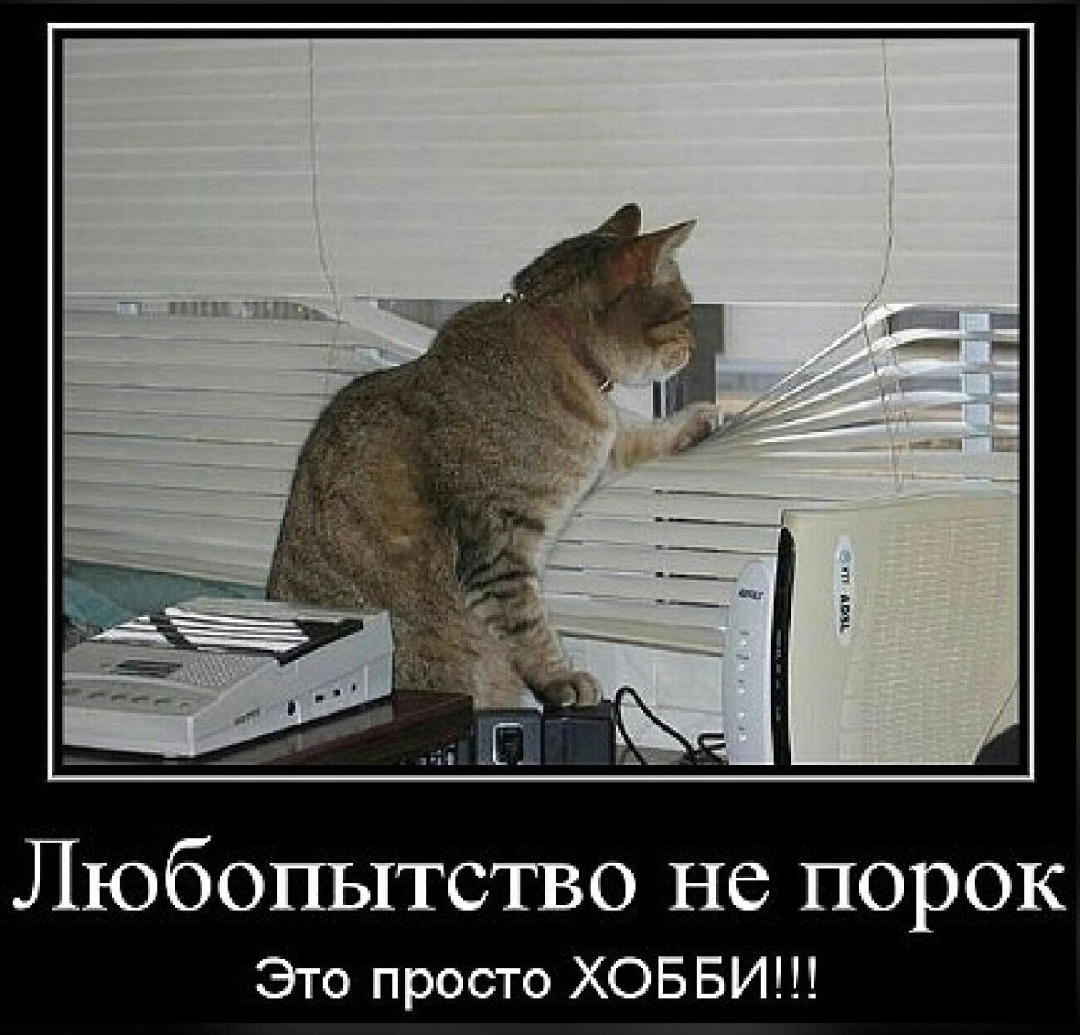 Жену свою не ругаю ее никогда я не брошу