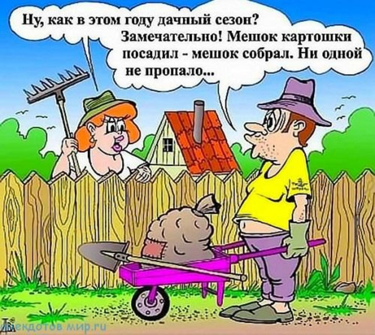 Приколы из деревни