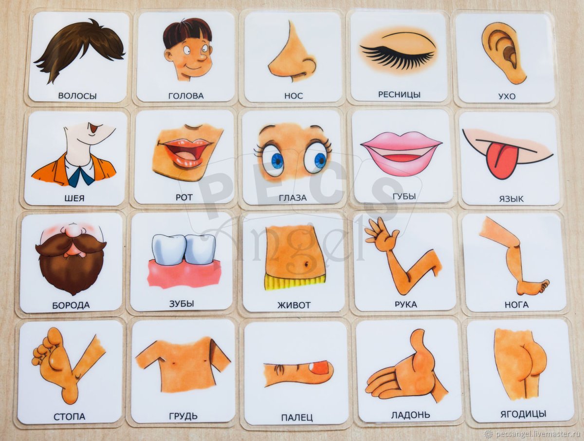 Карточки Учимся говорить