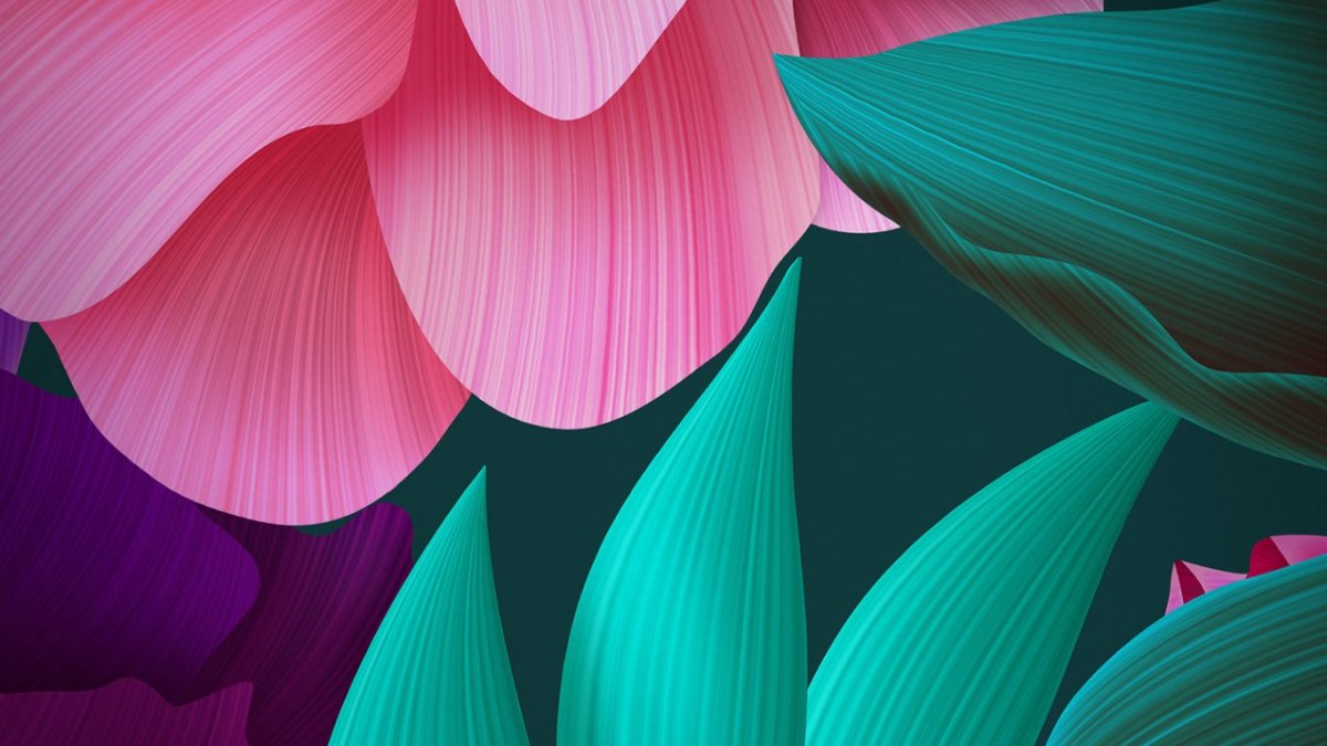 Обои Huawei Nova 5 Pro