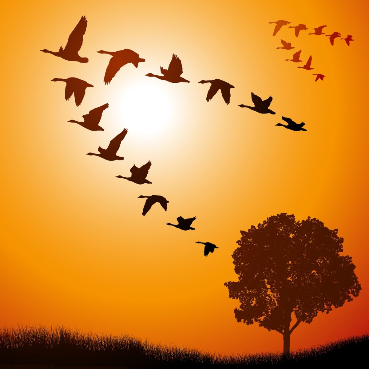 Осенний журавлиный Клин