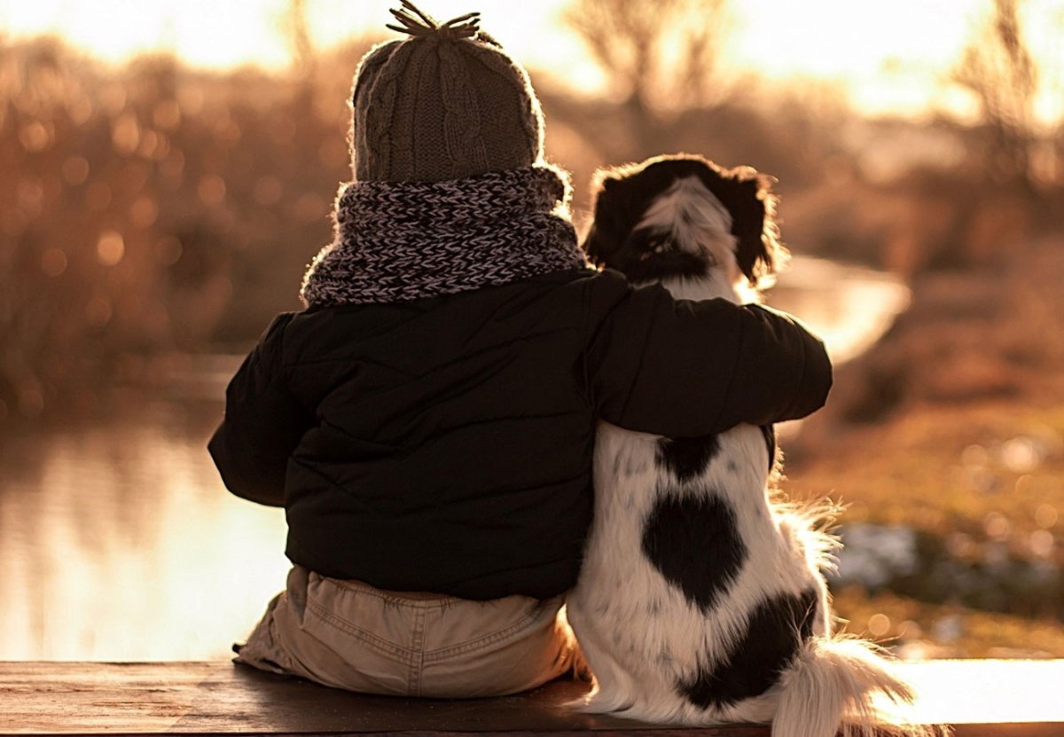 Высказывания о дружбе