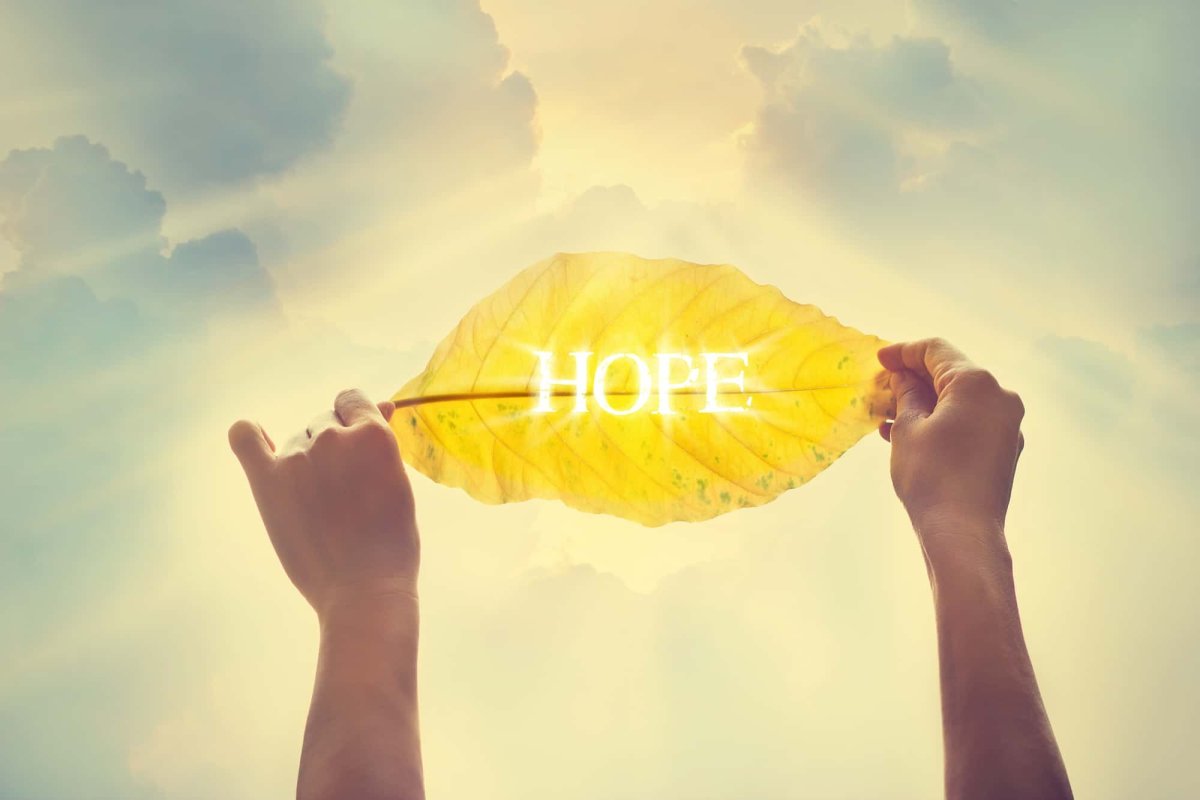 День оптимиста картинки