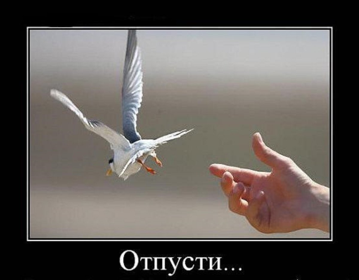 Прощение иллюстрация