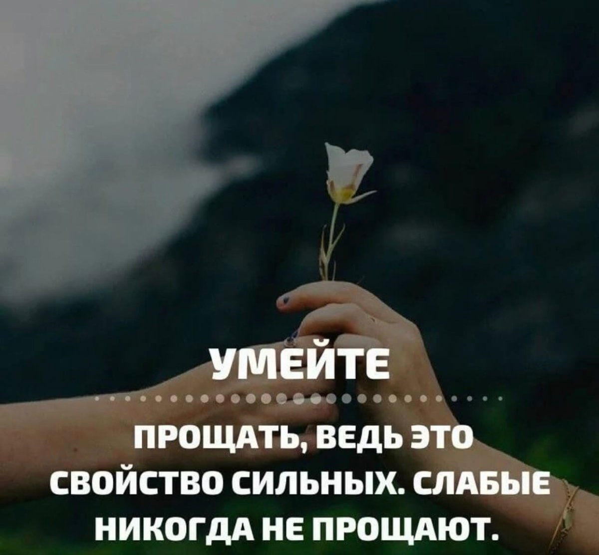 Девушка отпускает птицу