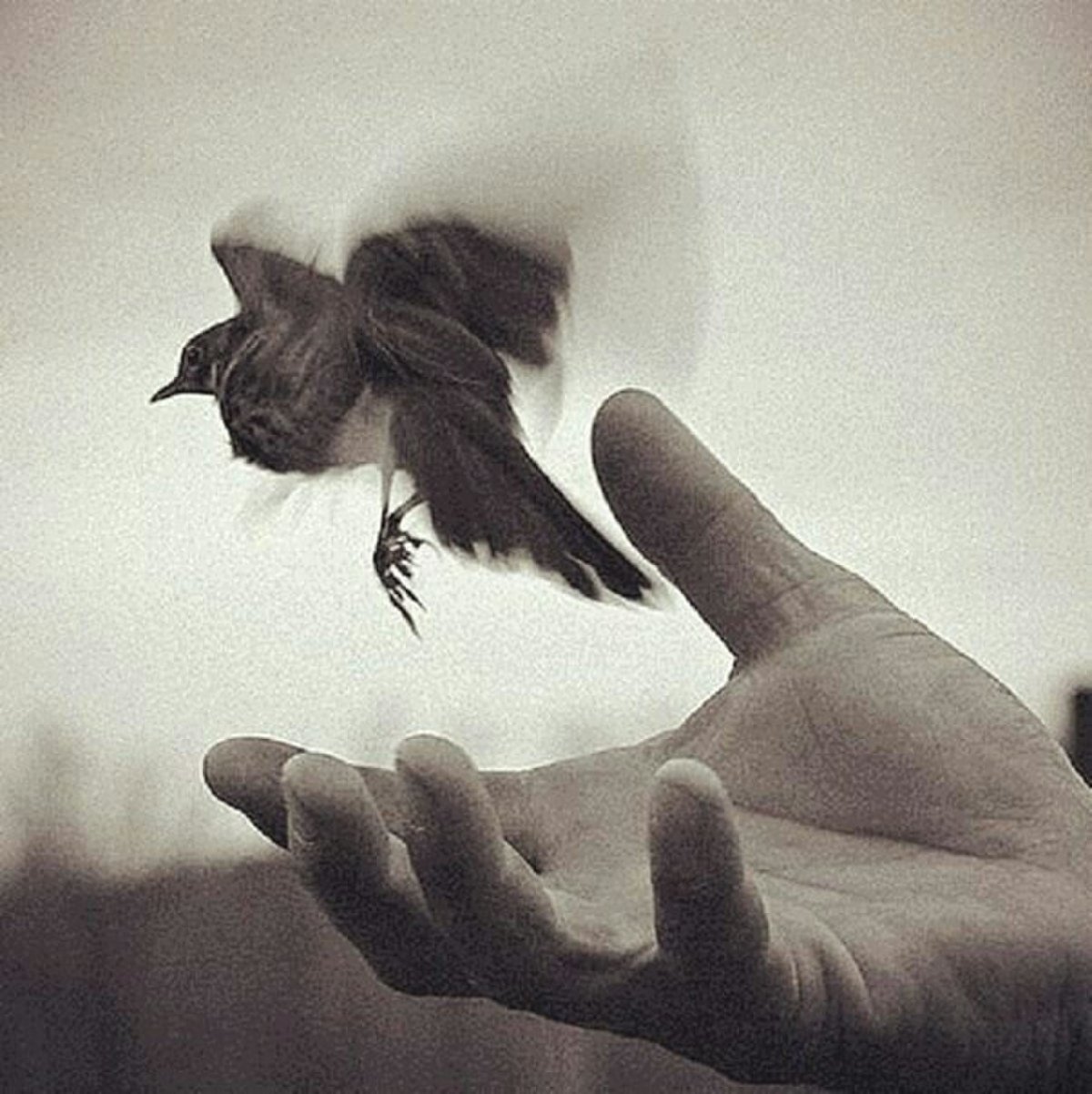 Я тебя отпускаю