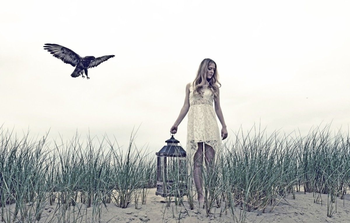 Мотиваторы на каждый день