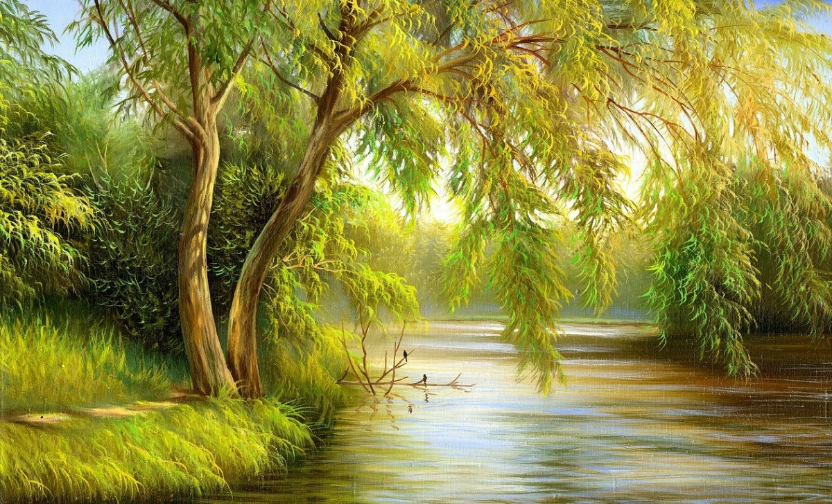 Фотообои плакучая Ива