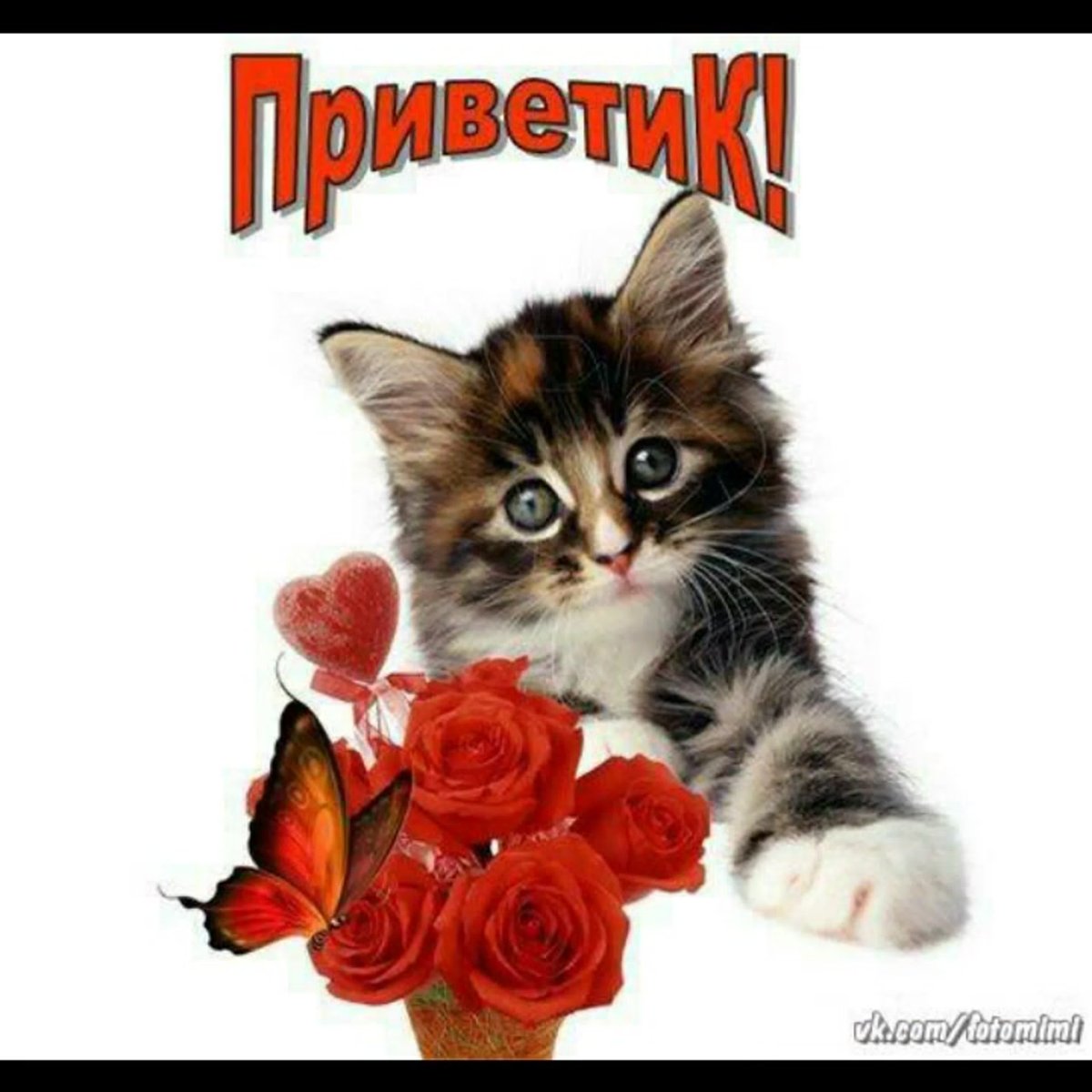 Девушка с розой в руках