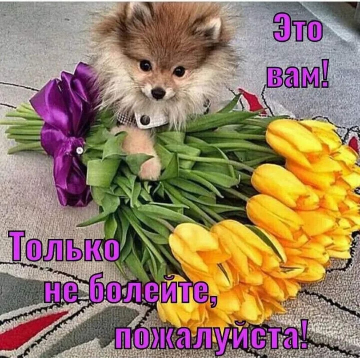 С добрым утром сладкая женщина