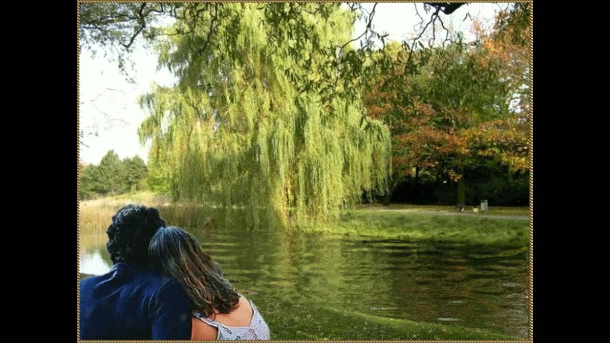 Влюбленные под ивой